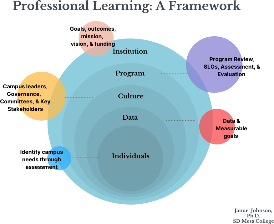 Rostrum Professional Learning Graphic